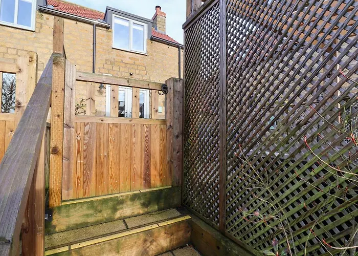 Tawny スカーバラ