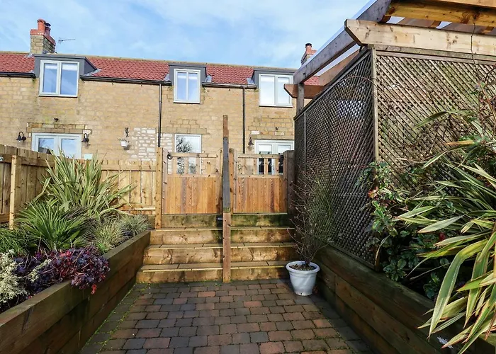 Tawny * סקארבורו