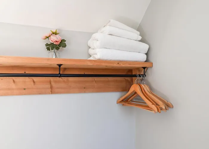 Tawny * סקארבורו