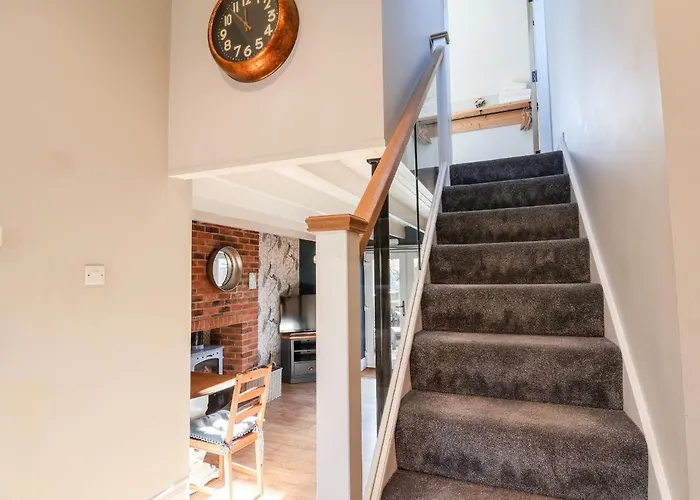 Tawny סקארבורו